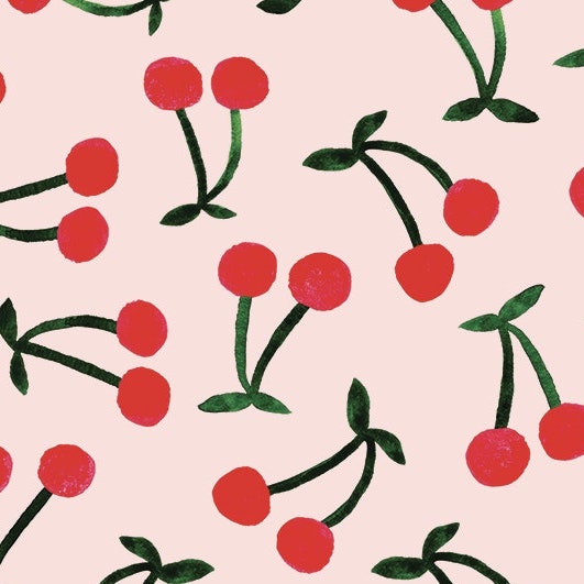 Cherry Jubilee Waste Bag Holder