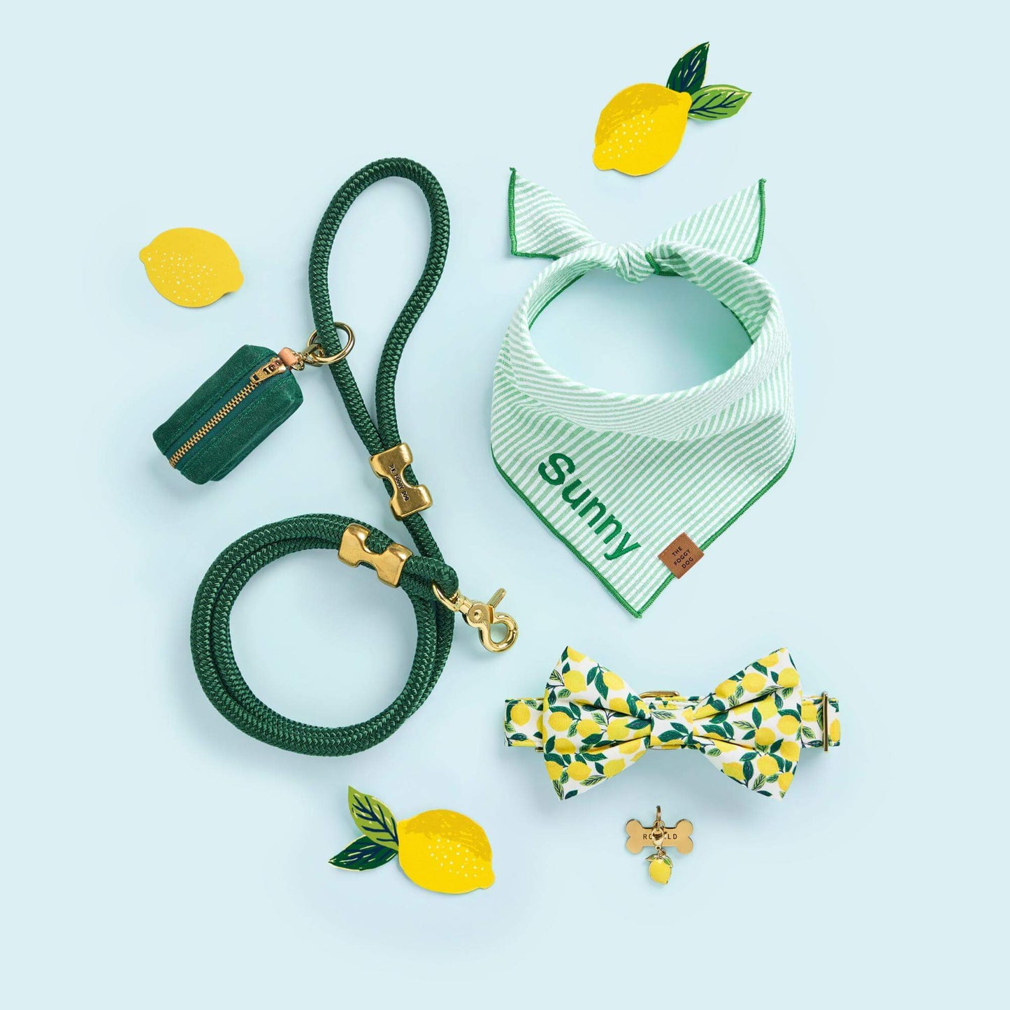 Green Seersucker Dog Bandana
