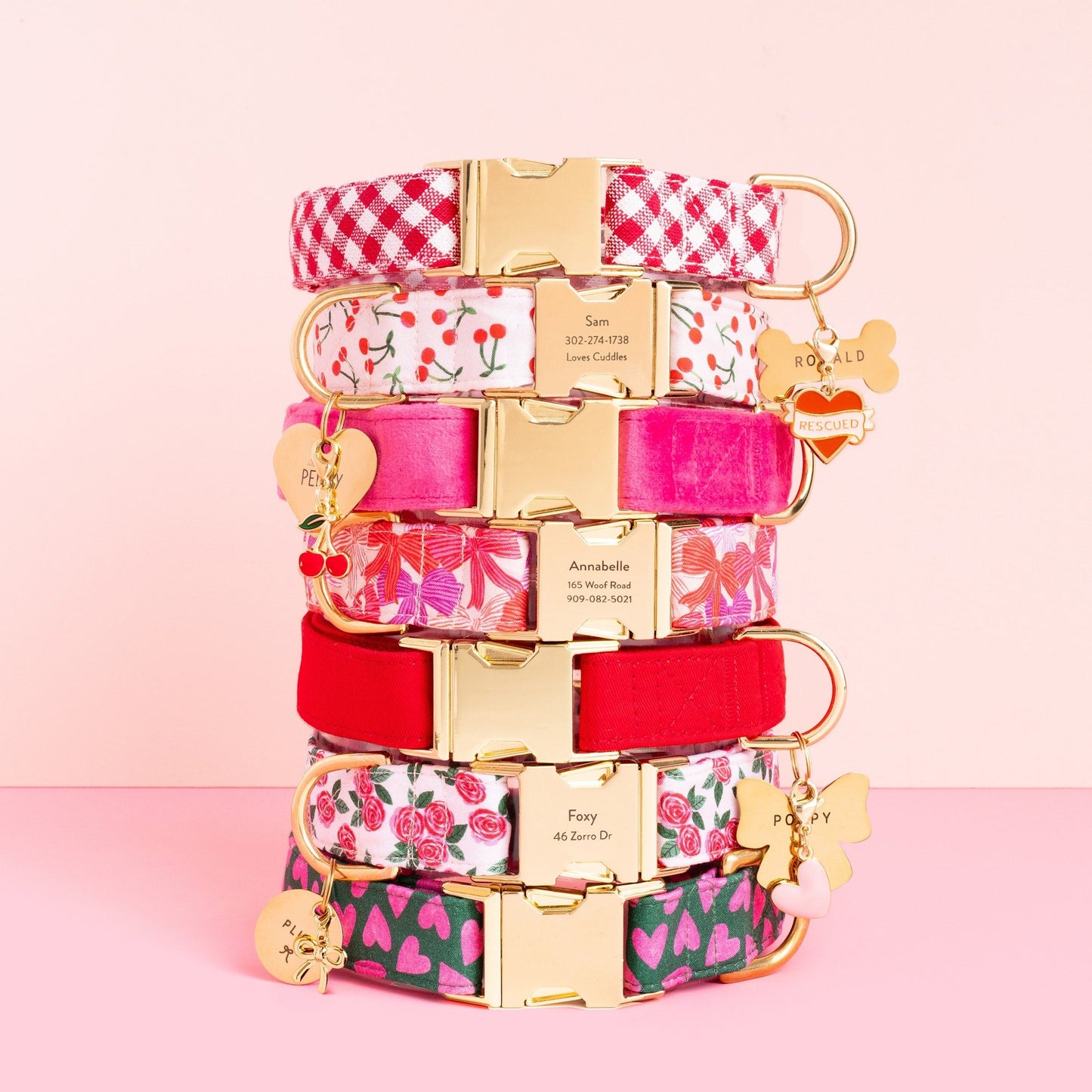Take a Bow Dog Collar
