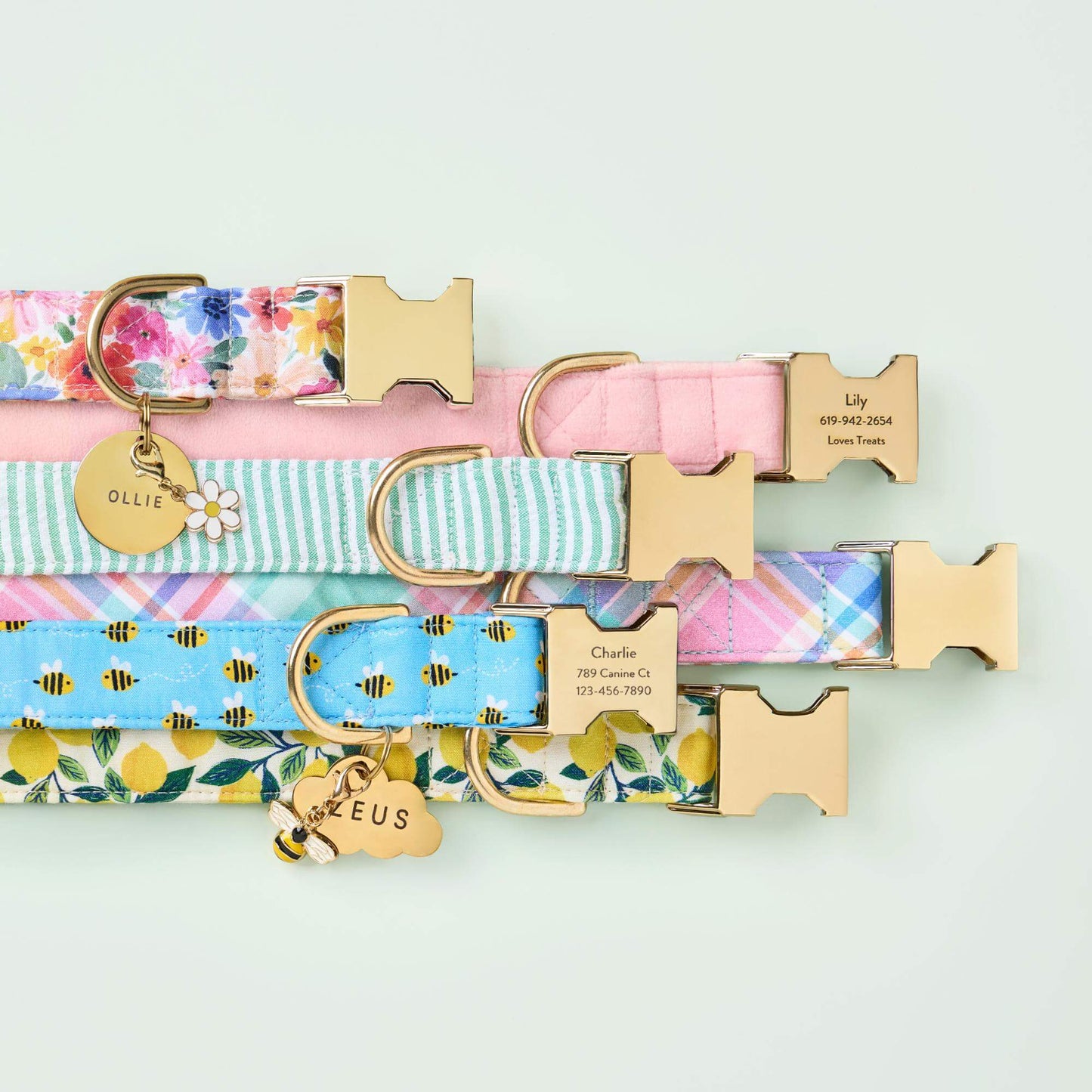 Blooming Plaid Dog Collar