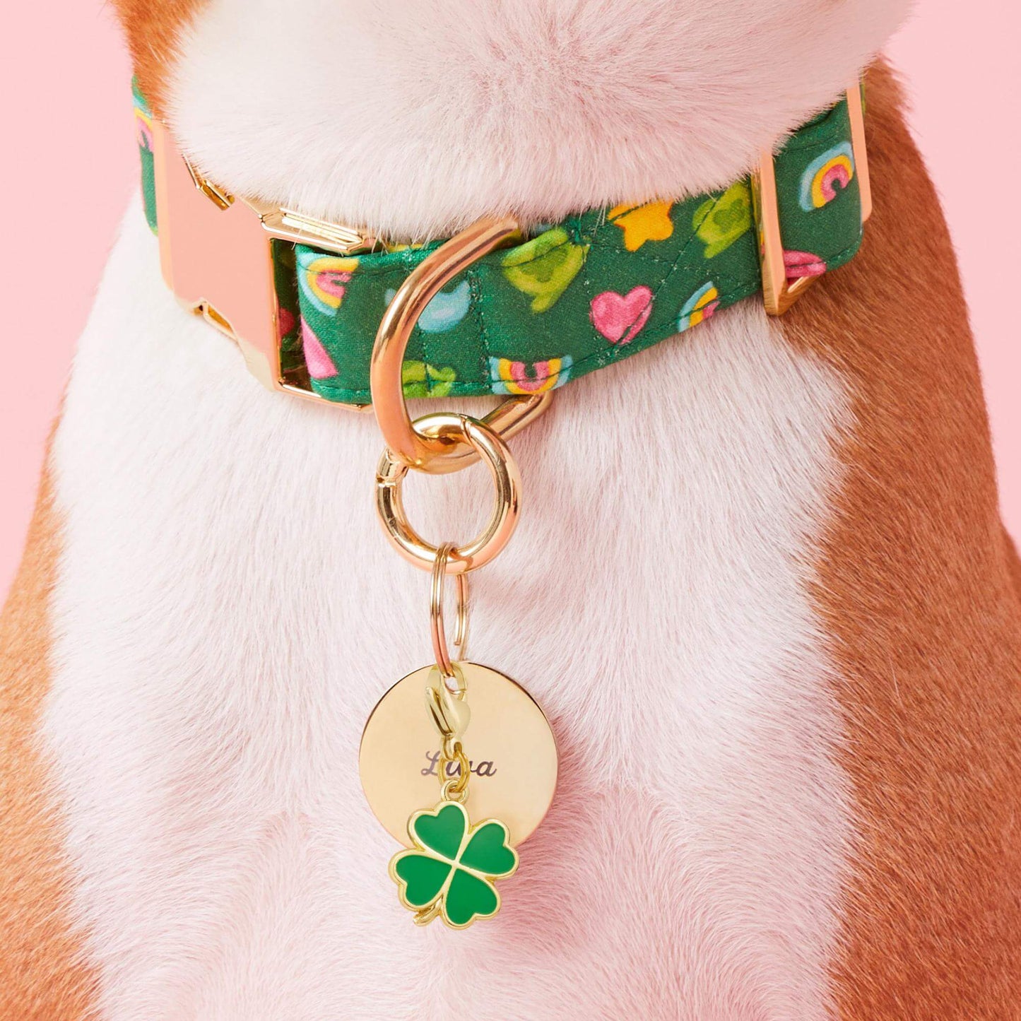 Charmed Dog Collar