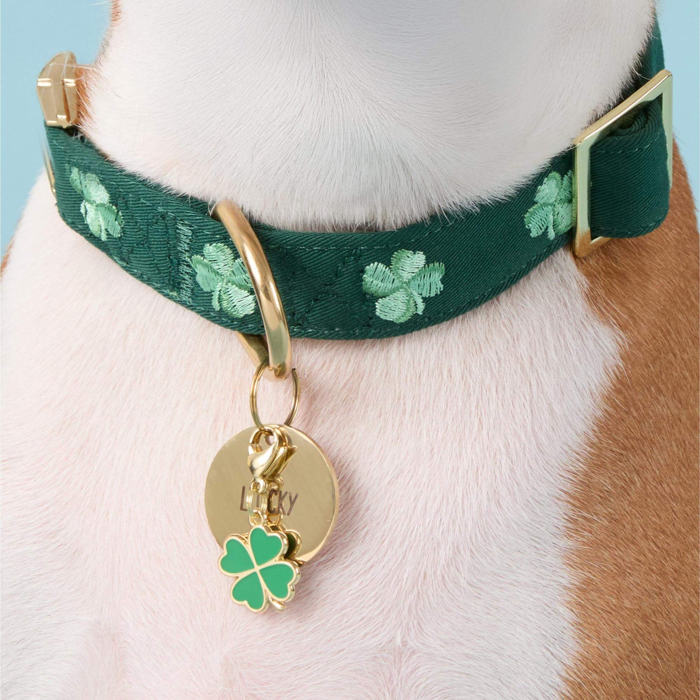 Lucky Rainbow Collar Charm Set