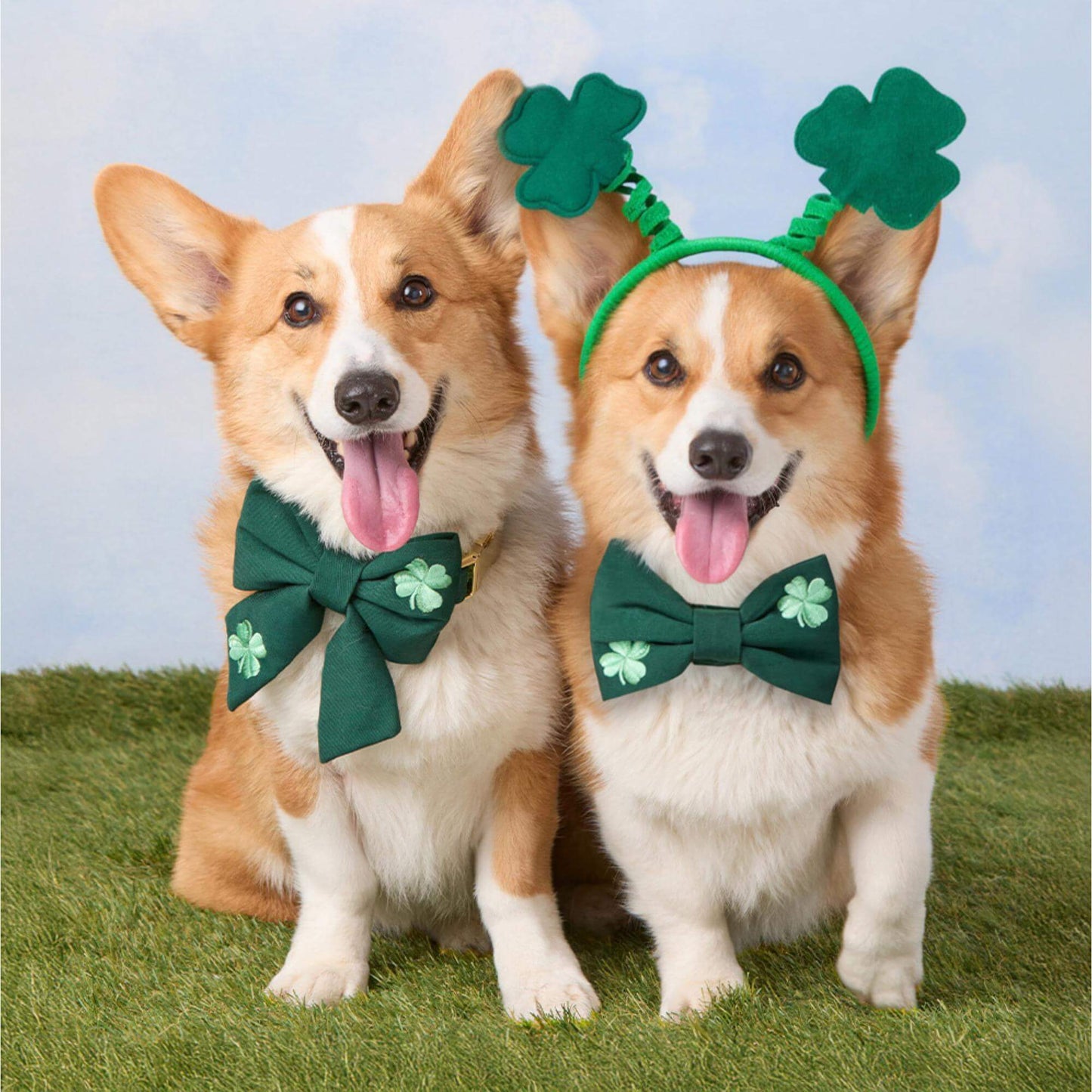 Clover Embroidered Dog Bow Tie