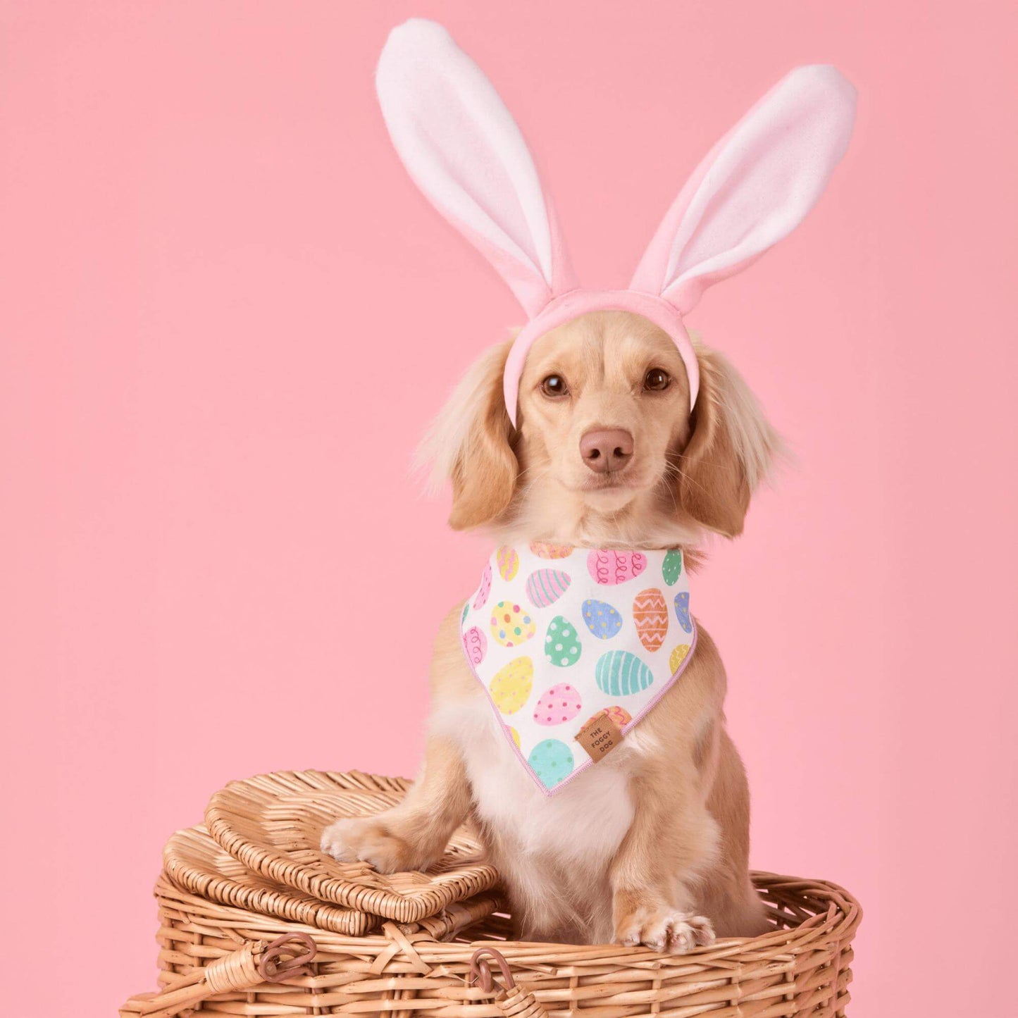 Easter Eggs Reversible Dog Bandana
