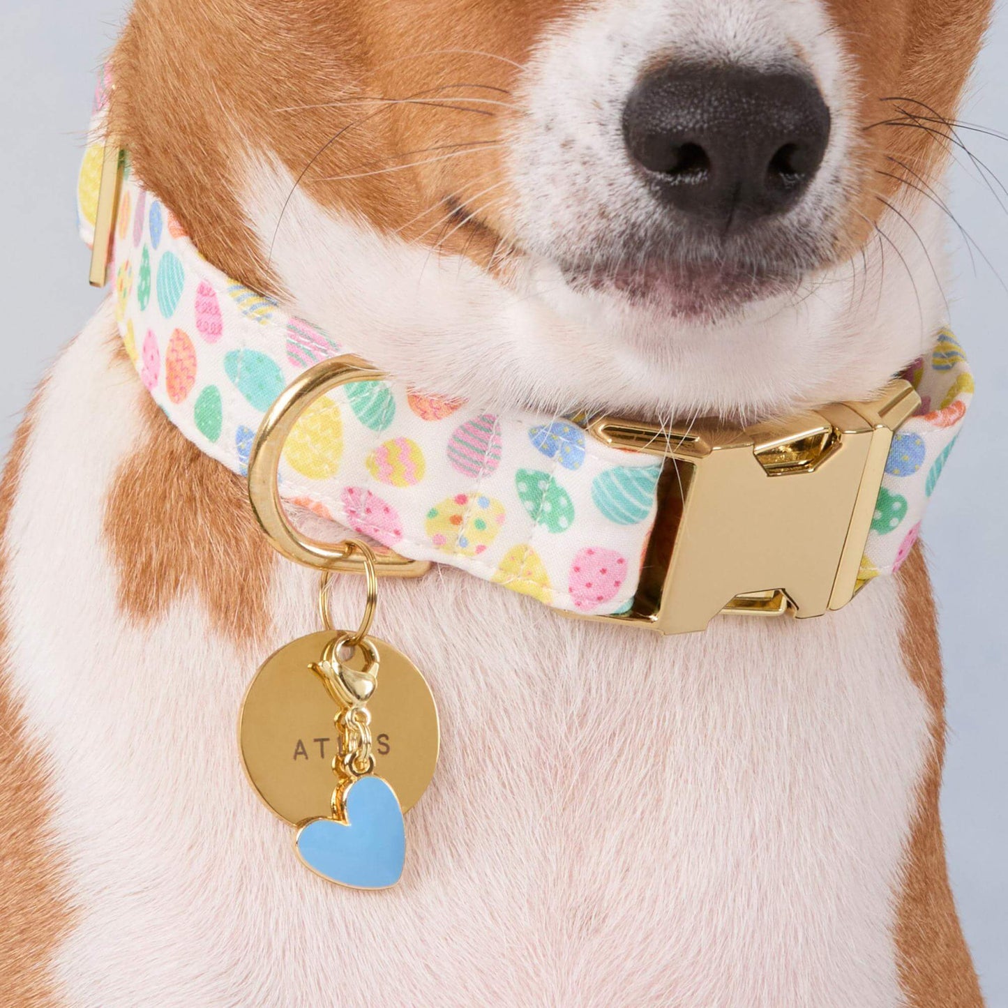 Easter Eggs Dog Collar