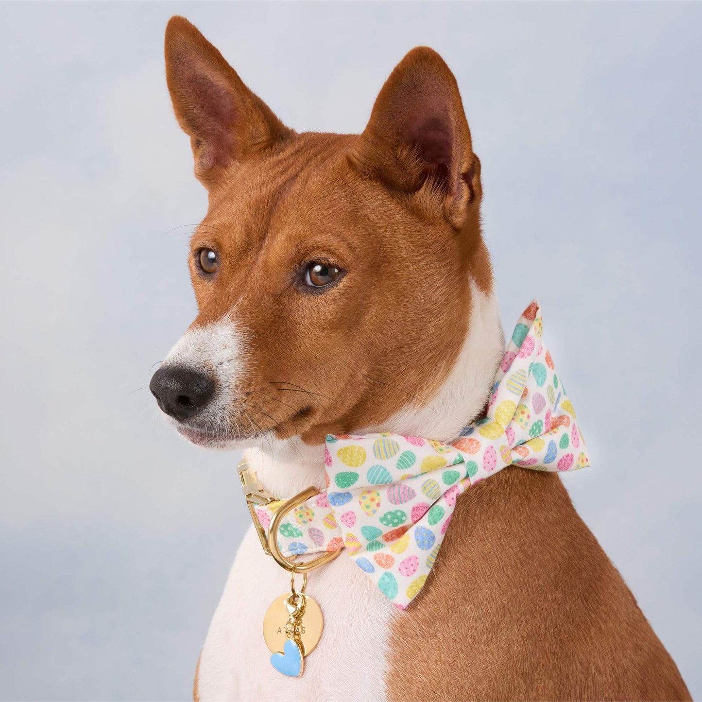 Easter Eggs Bow Tie Collar