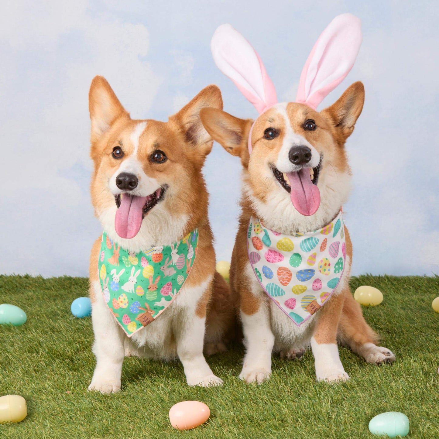 Hoppy Easter Reversible Dog Bandana