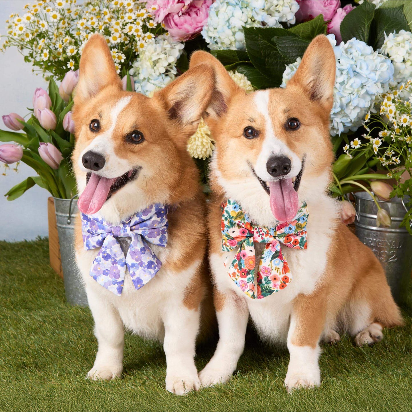 Garden Party Lady Dog Bow