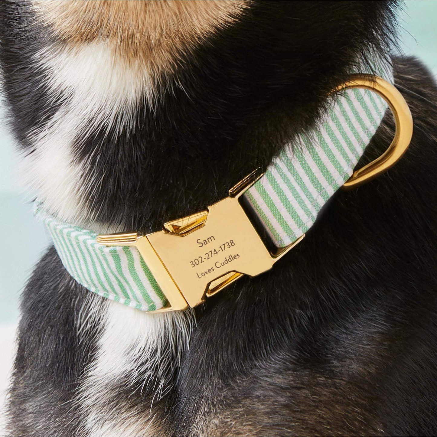 Green Seersucker Dog Collar