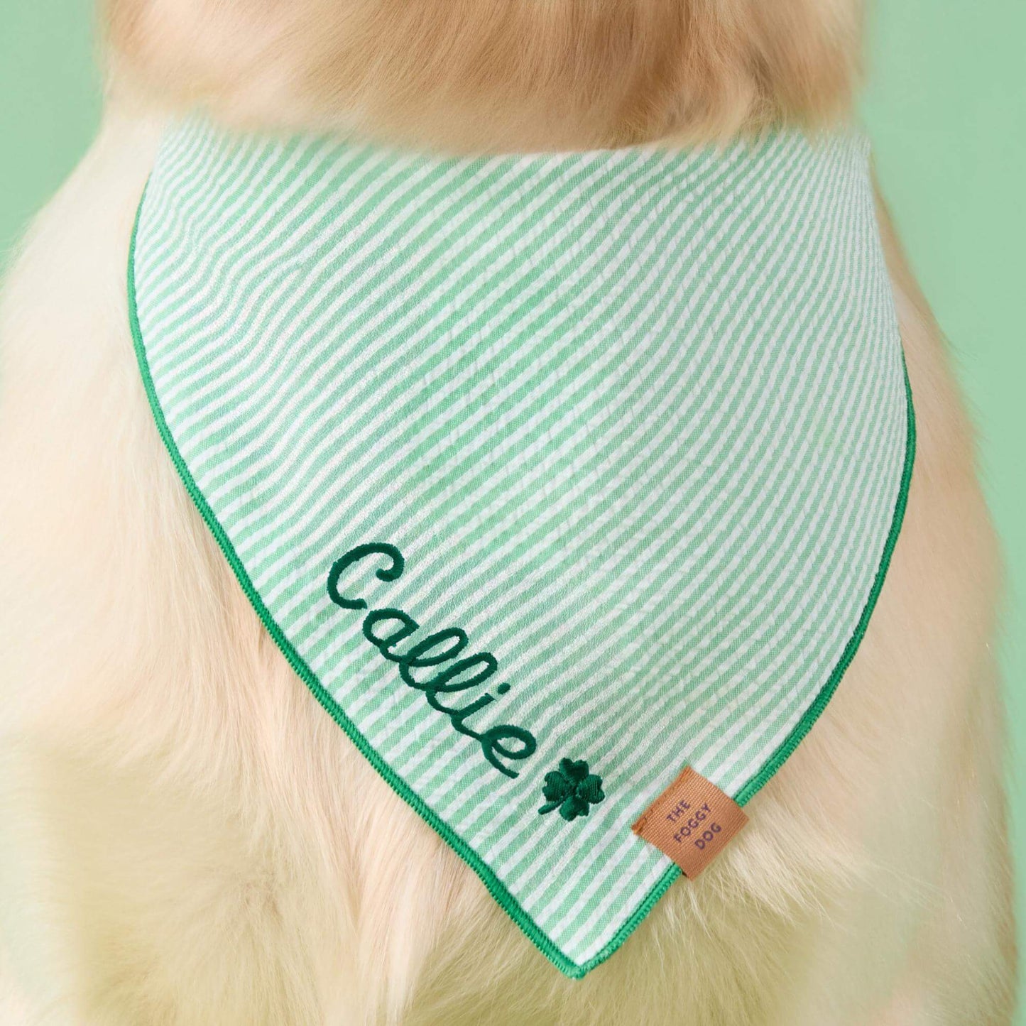 Green Seersucker Dog Bandana