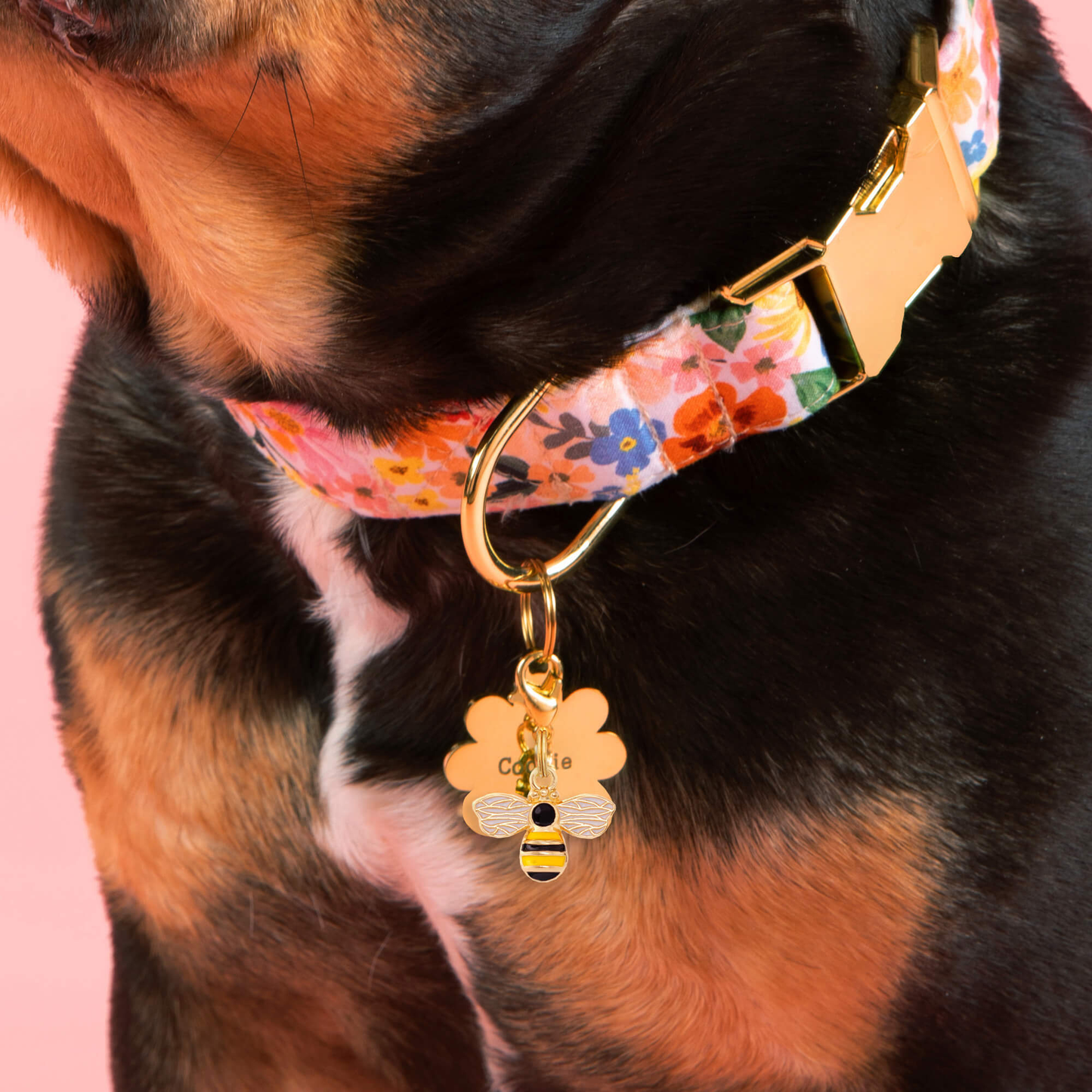 Honey Bee Collar Charm