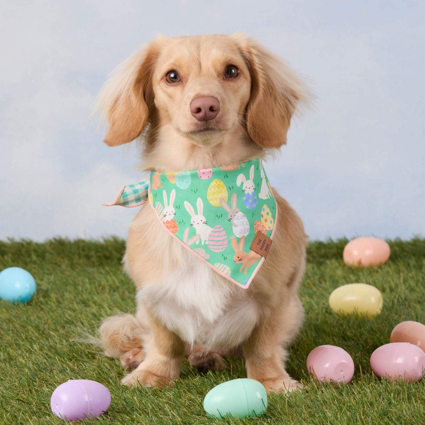 Hoppy Easter Reversible Dog Bandana