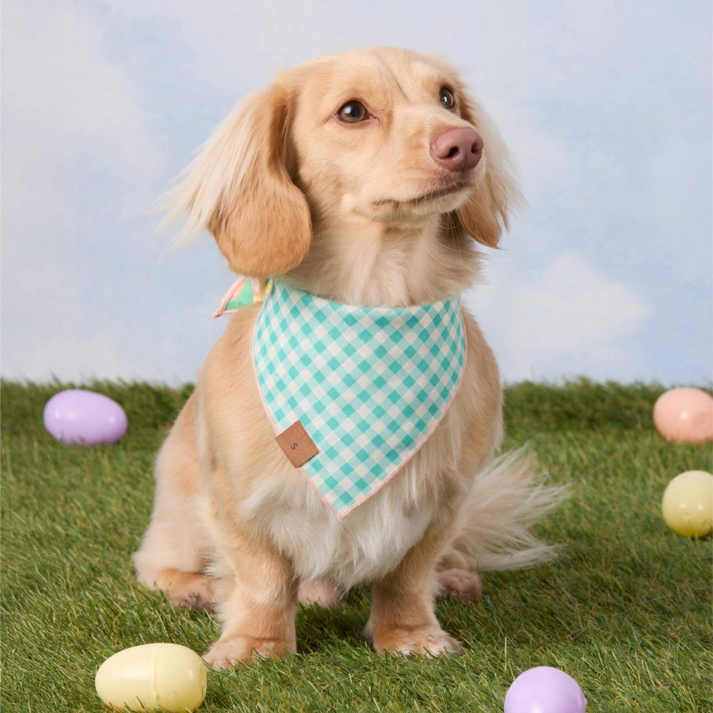 Hoppy Easter Reversible Dog Bandana