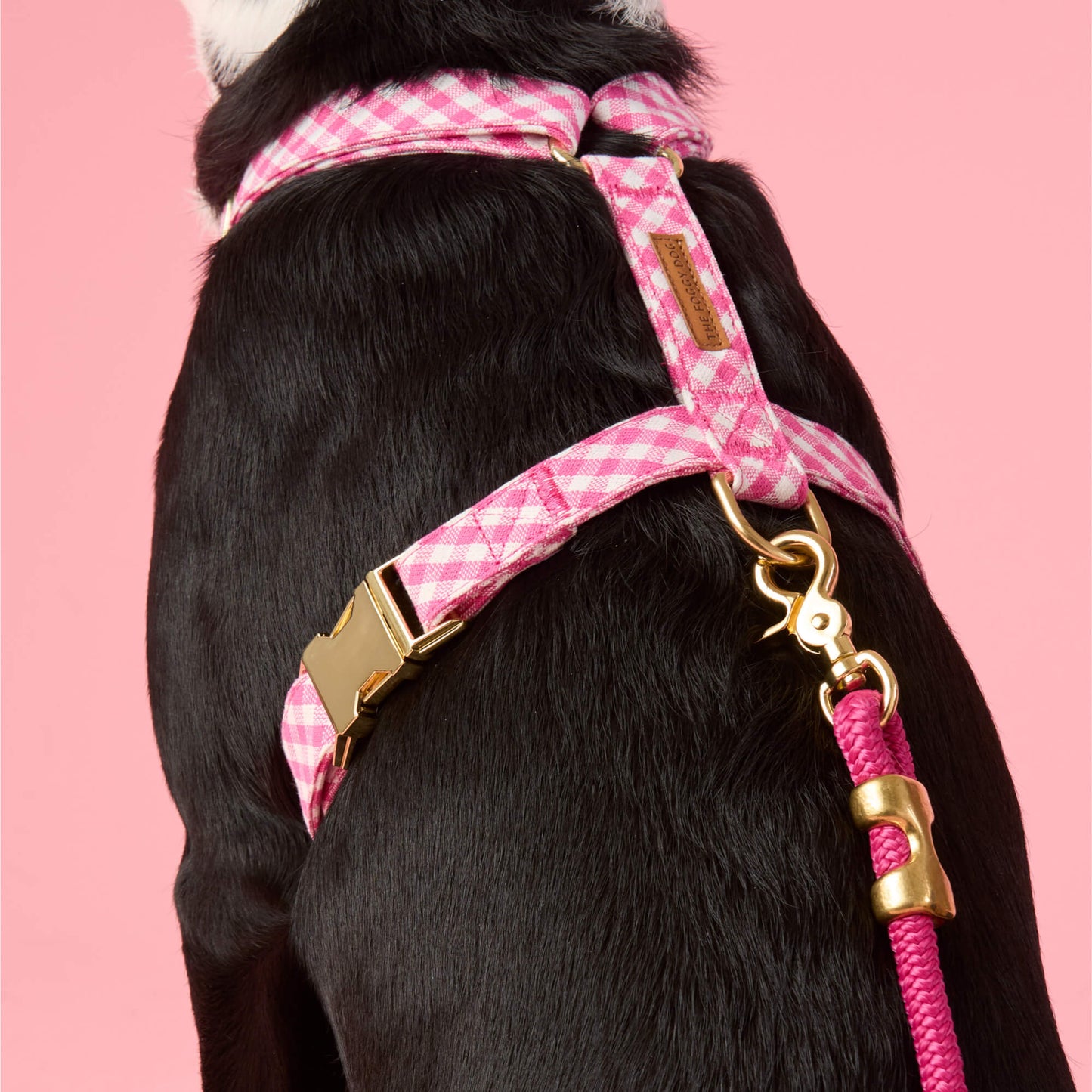 Hot Pink Gingham Harness Walk Set