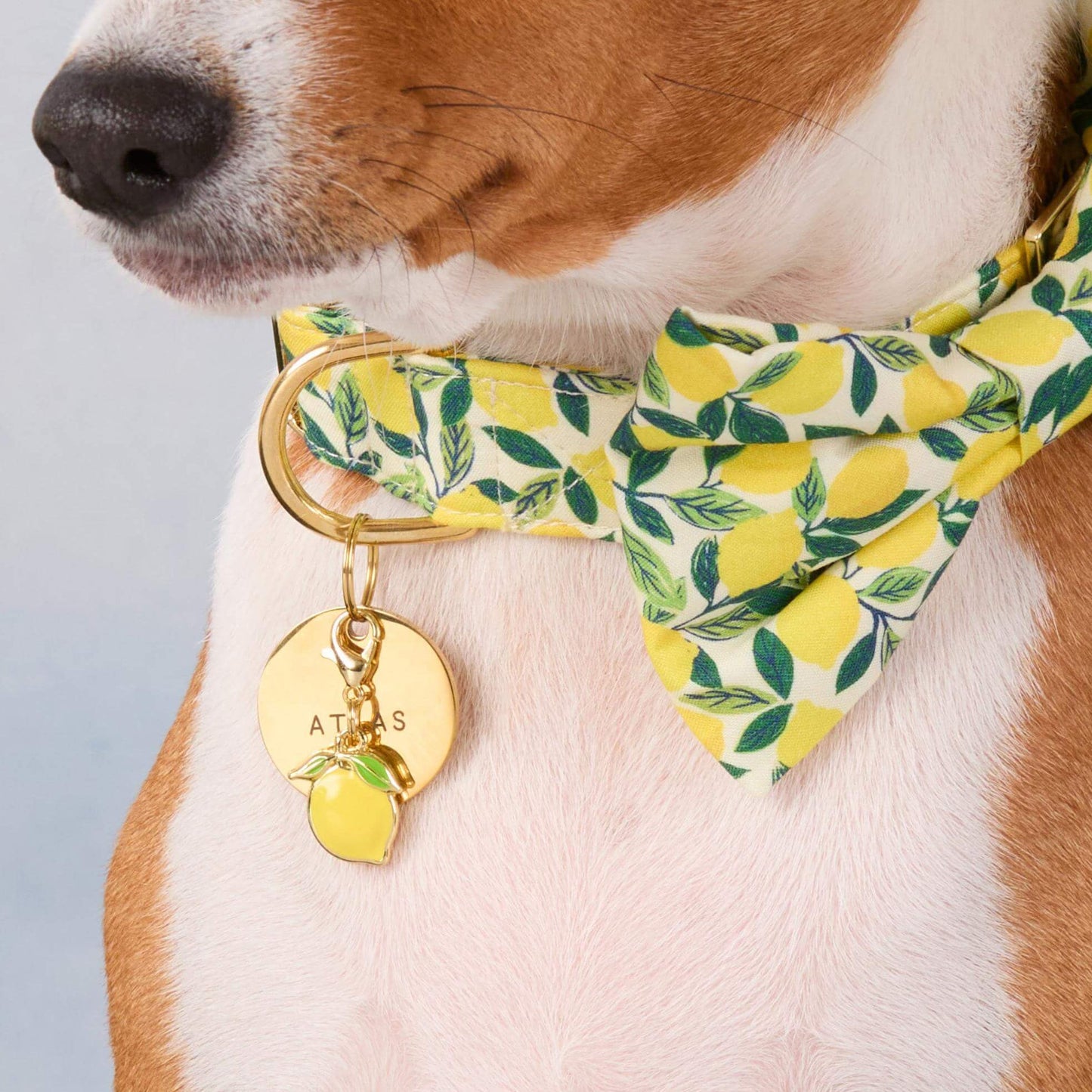 Lemon Collar Charm