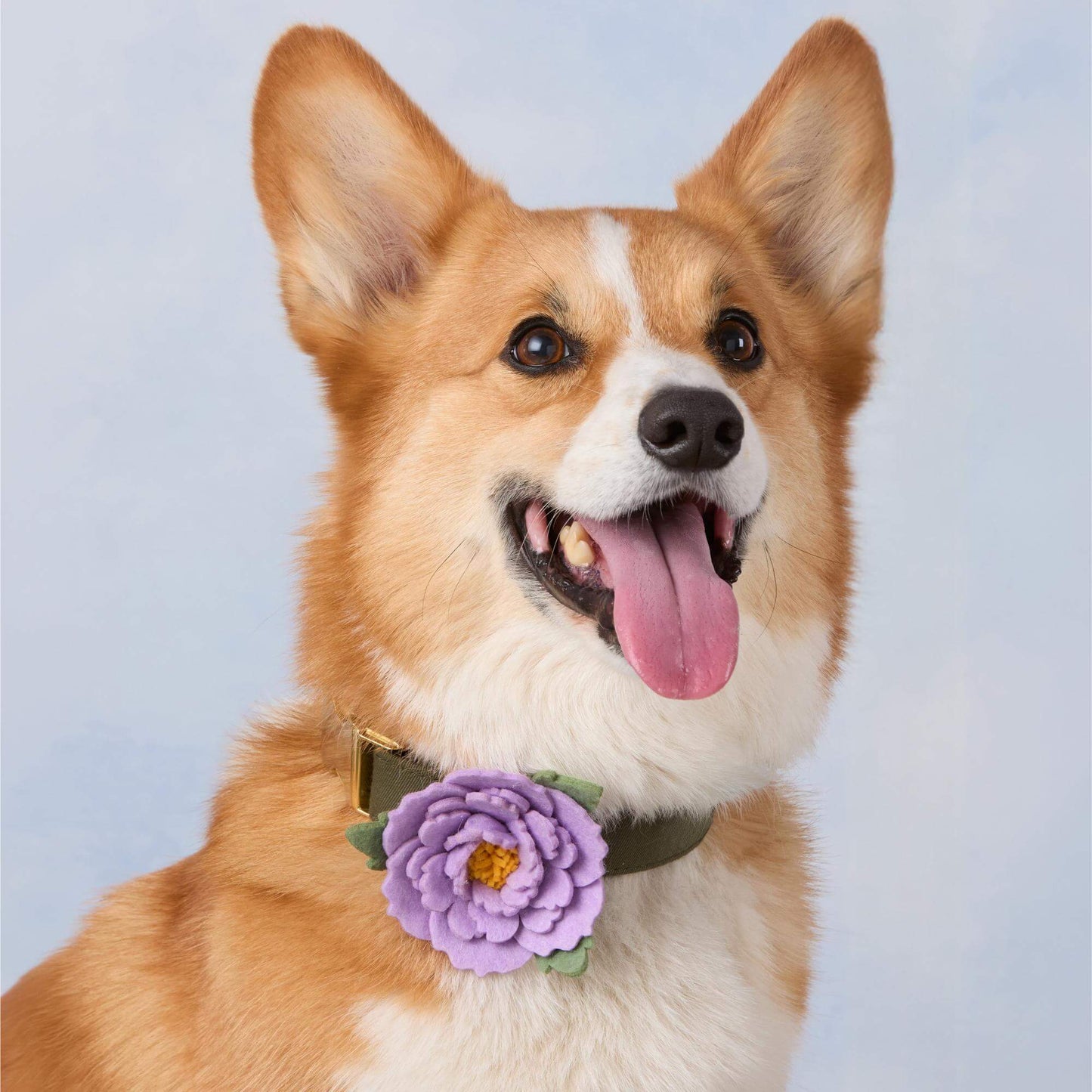 Lilac Peony Dog Collar Flower Set