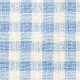 Sky Blue Gingham Collar Walk Set