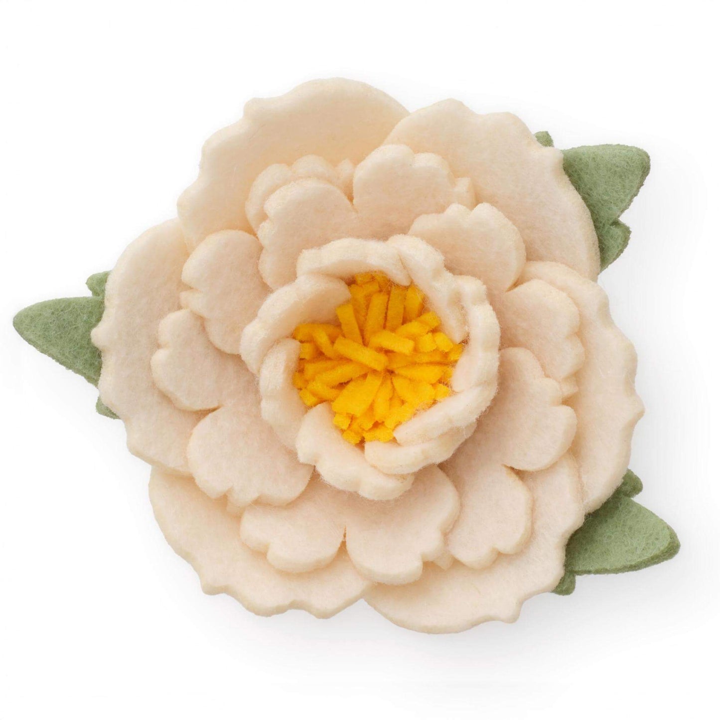 Ivory Peony Dog Collar Flower Set