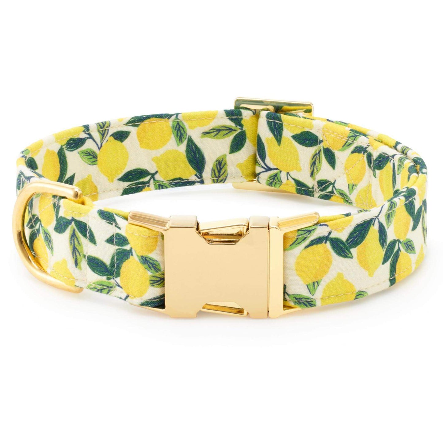 Lemon Zest Lady Bow Collar