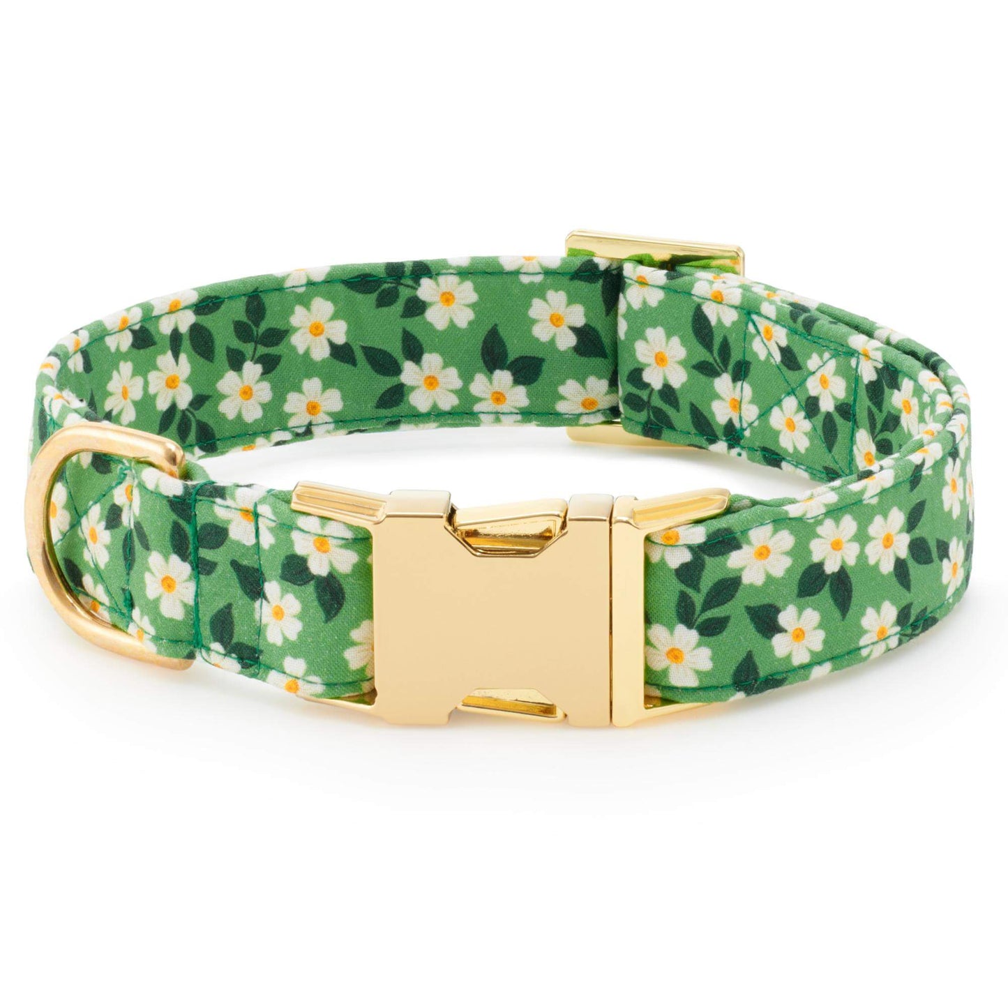 Dainty Daisies Lady Bow Collar