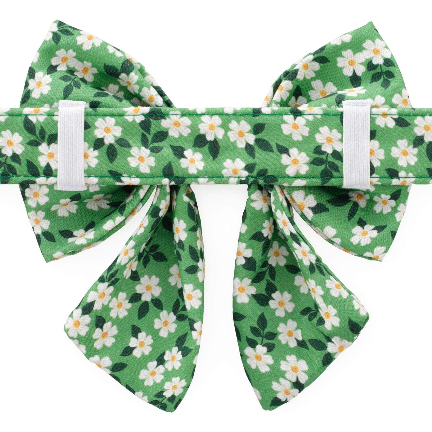 Dainty Daisies Lady Bow Collar