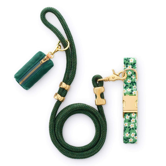 Dainty Daisies Collar Walk Set