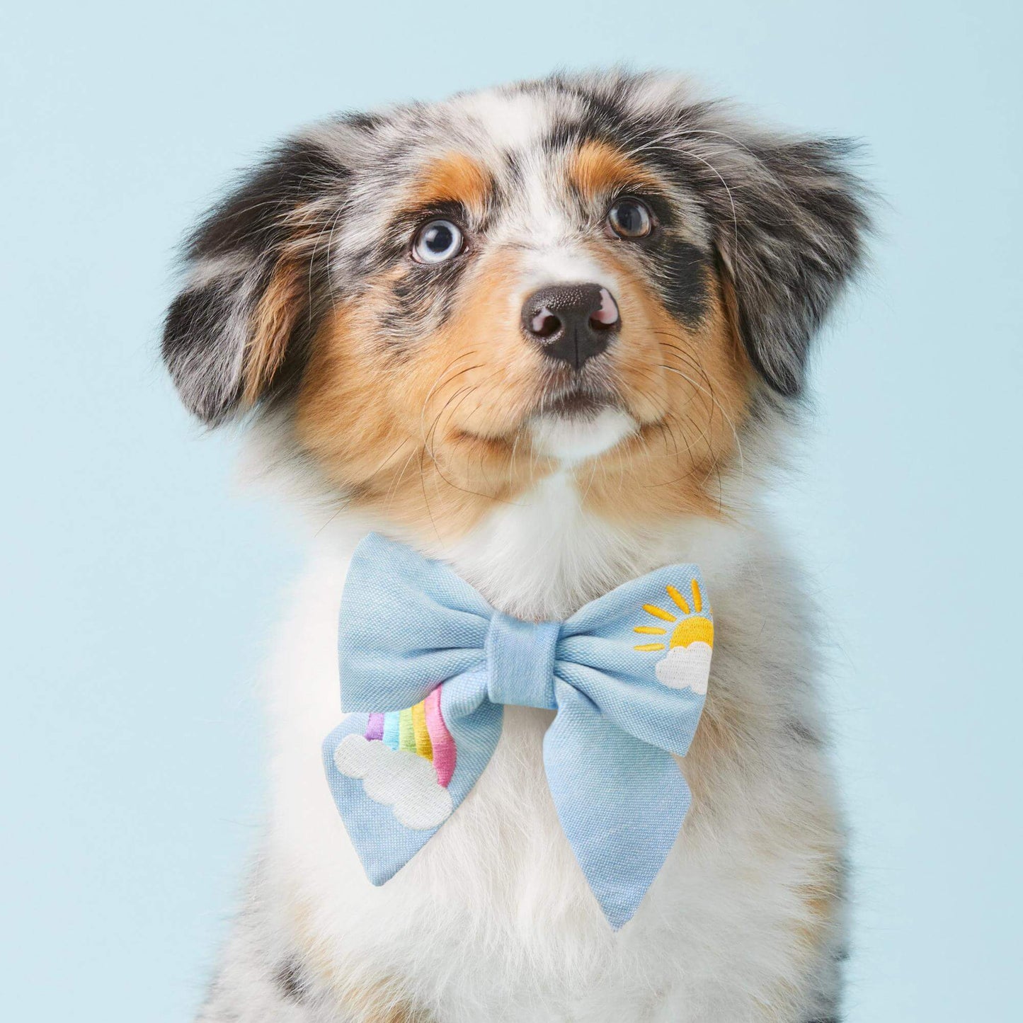Sunshine and Rainbows Embroidered Lady Bow Collar