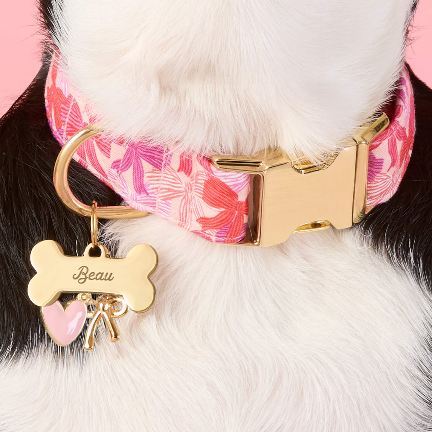 Take a Bow Dog Collar
