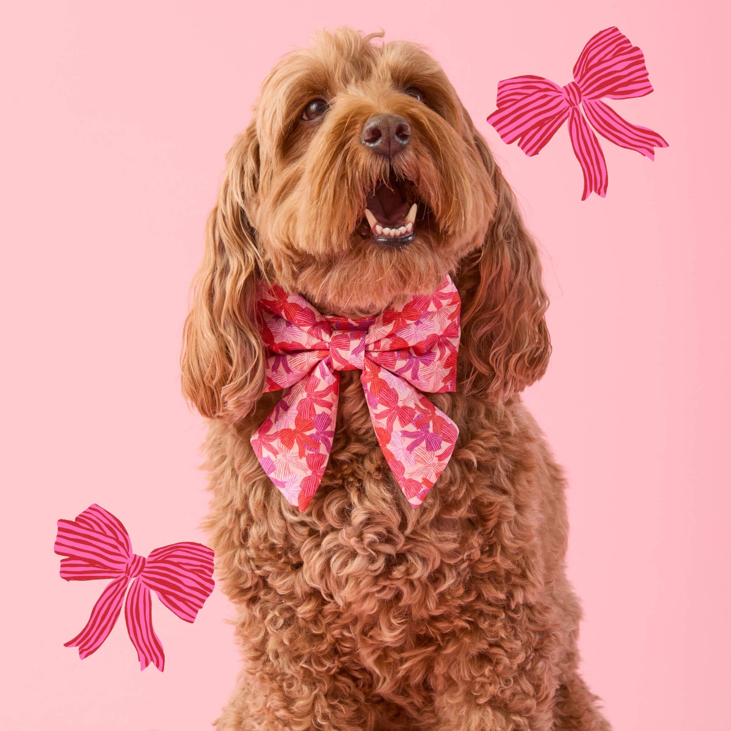 Take a Bow Lady Bow Collar