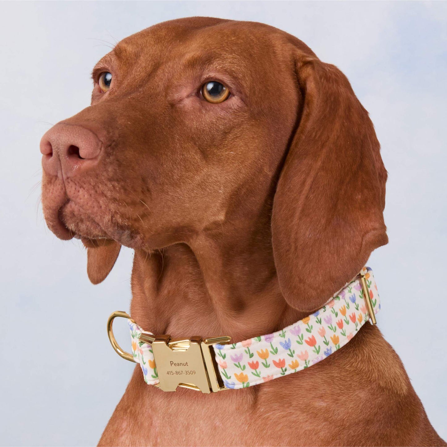 Tulip Garden Dog Collar