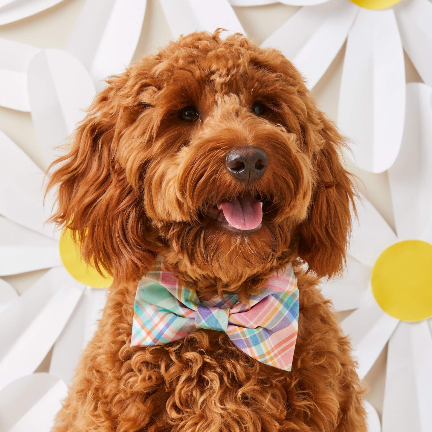 Blooming Plaid Dog Bow Tie